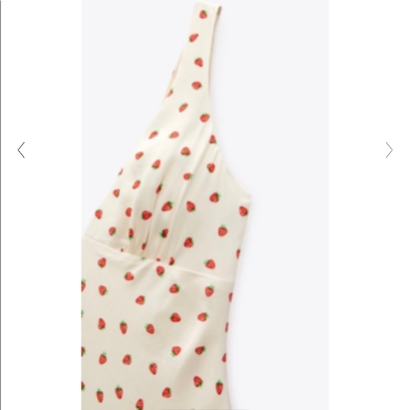 Zara Strawberry (2143) Long Casual Maxi Dress Size 8 (M) - Tradesy